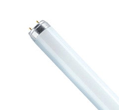 LAMP.FLUOR  16W OSRAM 640 T08